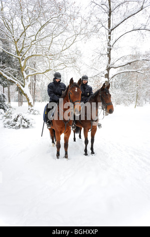 Polizia a cavallo nel parco invernale Foto Stock