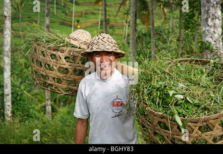 Un felice riso Balinesi field worker Foto Stock