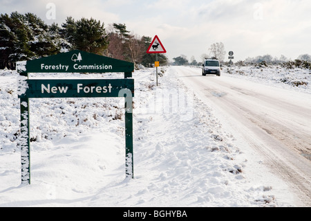 New Forest Hampshire nella neve, presa vicino a Stony Cross Hampshire Inghilterra Foto Stock