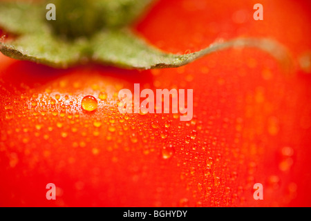 Pomodoro rosso con goccioline di acqua sfondo macro Foto Stock