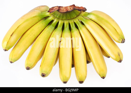 Grappolo di banane isolati su sfondo bianco Foto Stock