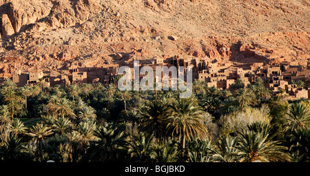 Un oasi valle vicino a tinghir nel sud del Marocco Foto Stock