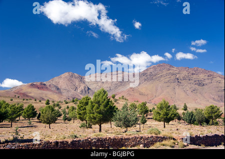 Vista da vicino al Palais de Tichka ristorante sul Tizi n Tichka Marocco Foto Stock