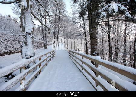 Bosco foresta passerella recintata in scena rurale nella coperta di neve paesaggio di campagna durante il periodo invernale in Scozia, Regno Unito Foto Stock