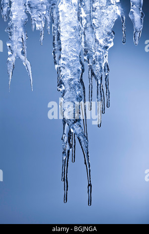 Ghiaccioli scintillante bianco ghiaccio sospeso verso il basso Foto Stock