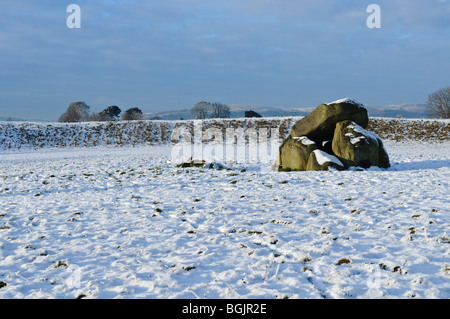 Giant's Ring, Belfast, coperto di neve Foto Stock