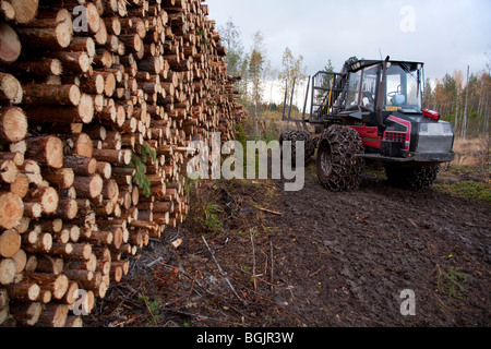 Vecchia raccoglitrice forestale Valmet 840 e un bosco di tronchi di pino finlandese ( pinus sylvestris ) , Finlandia Foto Stock