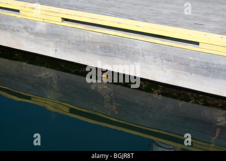 Dinghy Dock riflessioni di Boothbay Harbor, Maine Foto Stock