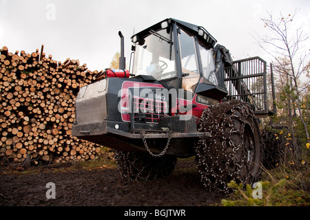 Vecchia raccoglitrice forestale Valmet 840 e un bosco di tronchi di pino finlandese ( pinus sylvestris ) , Finlandia Foto Stock