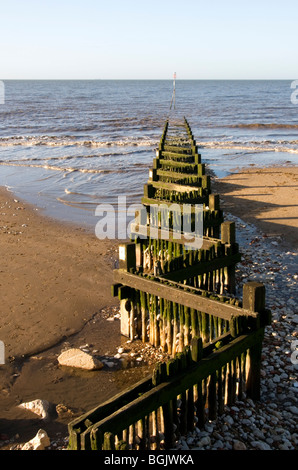 Un groyne sulla spiaggia a Hunstanton, Norfolk, Inghilterra Foto Stock