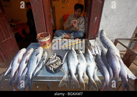 Stallo pescivendoli Street Market Kathmandu in Nepal Asia Foto Stock