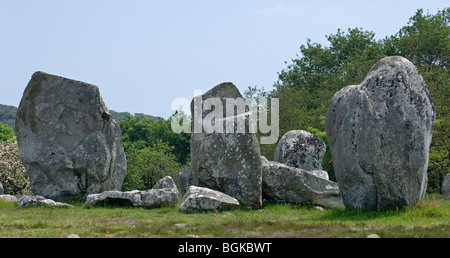 Pietre permanente nell'allineamento Kermario a Carnac, Morbihan, in Bretagna, Francia Foto Stock