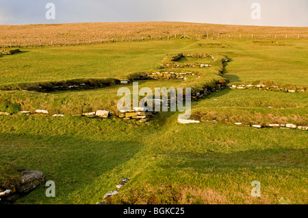 Brough di Birsay sulla terraferma Orkney sito di inizio norvegese e insediamenti Pictish SCO 5858 Foto Stock