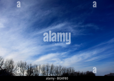 Cirrus Fibratus nuvole nel blu profondo cielo polarizzato Foto Stock