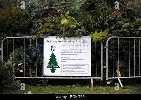 Un albero di Natale di riciclaggio in sito Brighton SUSSEX REGNO UNITO Foto Stock