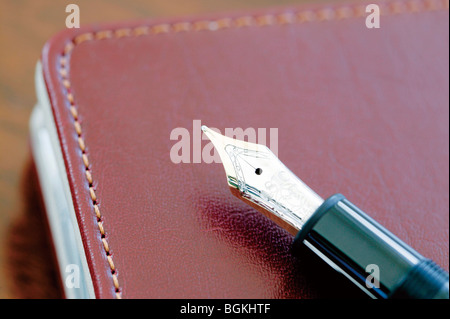 Penna stilografica su un rilegati in pelle notebook Foto Stock