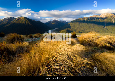 Arthur's Pass il Parco Nazionale di South Island, in Nuova Zelanda Foto Stock