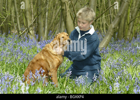 Ragazzo con il suo Golden Retriever cane in un Bluebell Wood Foto Stock