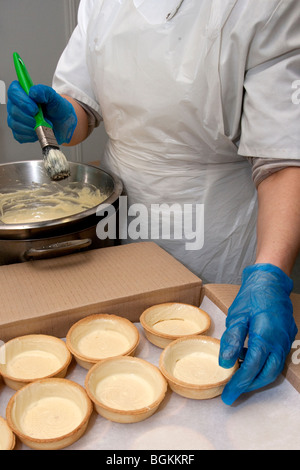 Commercio all'ingrosso food processing factory, Irlanda Foto Stock