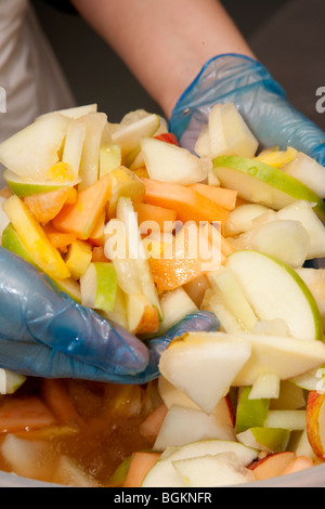 Commercio all'ingrosso food processing factory, Irlanda Foto Stock