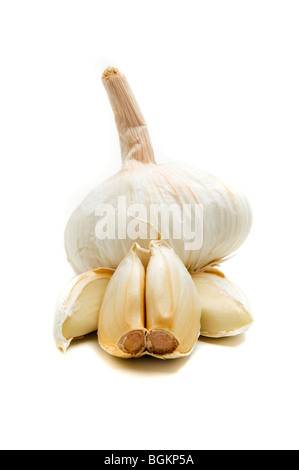 Bulbo aglio e chiodi di garofano su sfondo bianco Foto Stock