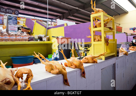 Immacolata vivacemente colorato pollame butcher stallo con la comica display macabro di polli interi nel mercato messicano Messico Oaxaca Foto Stock