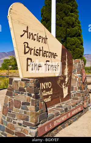 Bristlecone antica pineta segno, Inyo National Forest, White Mountains, California Foto Stock