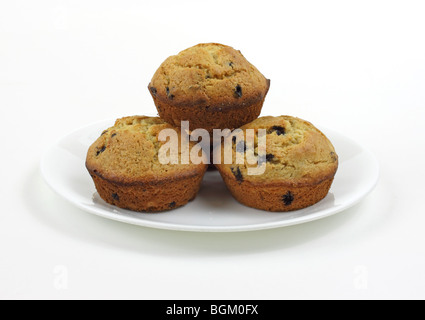 Muffin ai mirtilli Foto Stock
