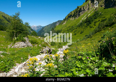 Il percorso che conduce alla Prinz-Luitpold-house, Hintersteiner Valley, Bad Hindelang, Allgaeu, Baviera, Germania, Europa Foto Stock