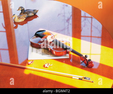 Violino su un tavolo lucido con il modello di anatre Foto Stock