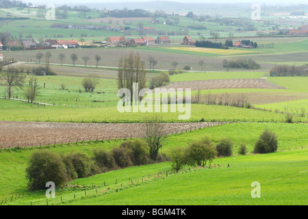 Paesaggio di Bocage con siepi e alberi, Belgio Foto Stock