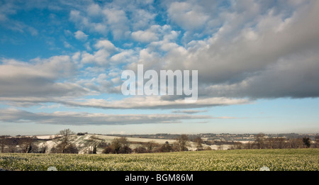 Campo & colline nel paesaggio invernale Foto Stock