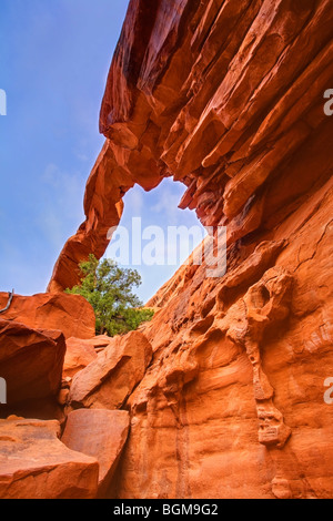 Arco di parete a basso angolo, Arches National Park, Utah, Stati Uniti d'America Foto Stock