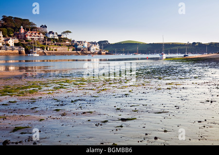 Salcombe e Salcombe Harbour da East Portlemouth, Devon, Inghilterra, Regno Unito Foto Stock