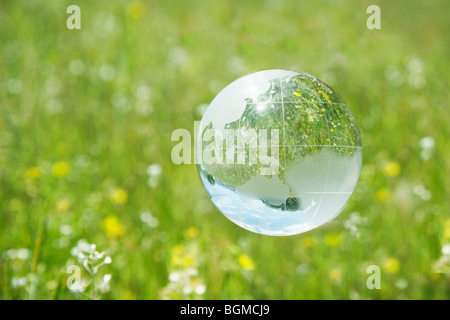 Globo di cristallo su flottante erba e fiori Foto Stock