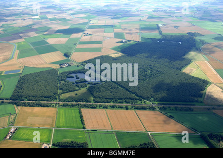 Vista aerea Holme Fen il grande progetto Fen Foto Stock