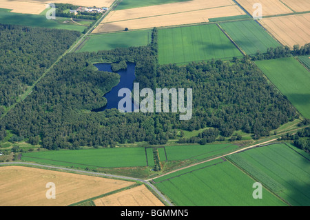 Vista aerea Holme Fen il grande progetto Fen Foto Stock