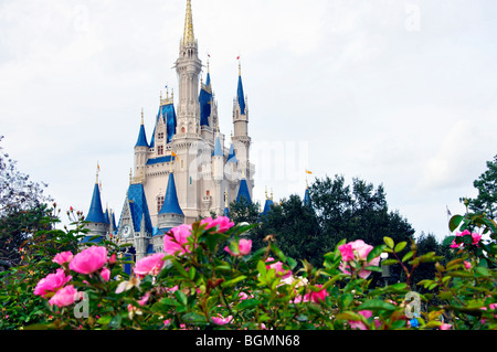 Cenerentola il Castello, Disney, Orlando, Florida, Stati Uniti d'America Foto Stock