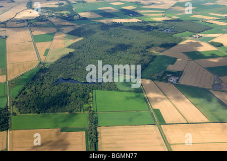 Vista aerea Holme Fen il grande progetto Fen Foto Stock