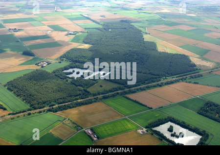 Vista aerea Holme Fen il grande progetto Fen Foto Stock