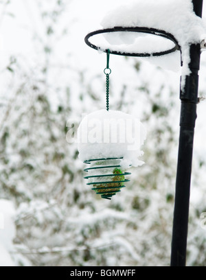 Sfera di grasso bird feeder ricoperta di neve Foto Stock