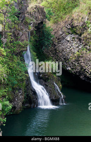 Cascata tropicale lungo la strada di hana in Maui Hawaii Foto Stock