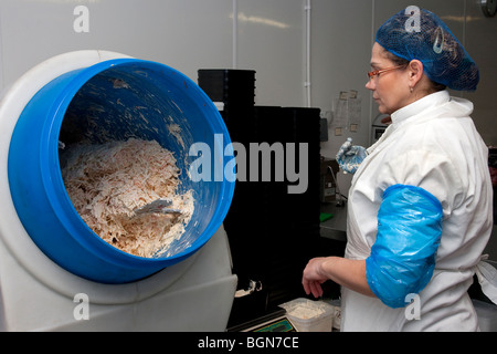 Commercio all'ingrosso food processing factory, Irlanda Foto Stock