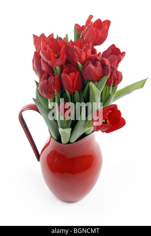 Tulipani rossi nel contenitore Foto Stock