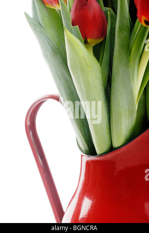 Tulipani rossi nel contenitore, dettaglio Foto Stock