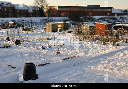 Riparto di giardini in neve, REGNO UNITO Foto Stock