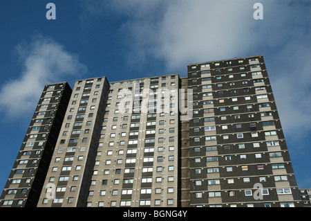 Blocco a torre in Gorbels, Glasgow, ScotlandTower blocchi nel Gorbals Laurino off road, un'area interna della città di Glasgow. Foto Stock