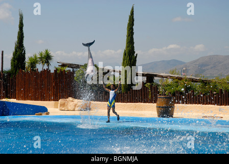 Dolphin saltando al Spettacolo di Delfini, Mundomar, Benidorm, Alicante provincia, Comunidad Valenciana, Spagna Foto Stock