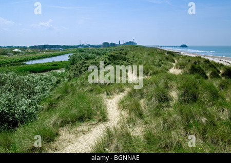 Riserva naturale De Fonteintjes nelle dune tra Blankenberge e Zeebrugge lungo la costa del Mare del Nord, Belgio Foto Stock