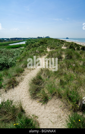Riserva naturale De Fonteintjes nelle dune tra Blankenberge e Zeebrugge lungo la costa del Mare del Nord, Belgio Foto Stock